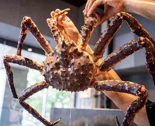 3LB Red King Crab Legs – Wild-Caught Premium Grade | Thick Meat & Sweet Flavor